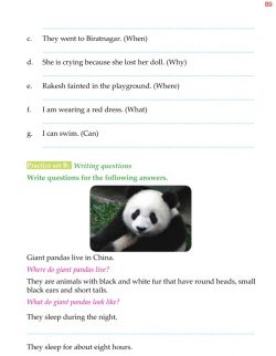 5th Grade Grammar Questions - Question Words - Question 6.jpg